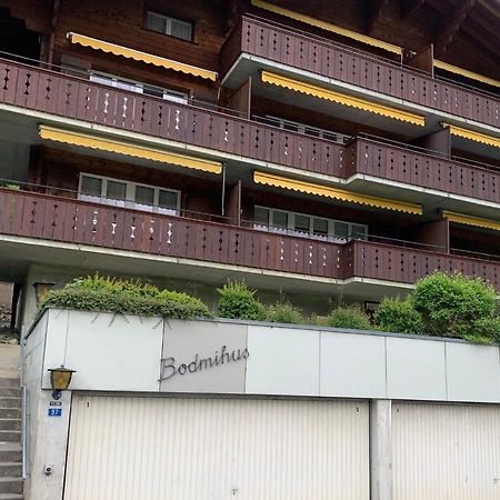 Luxury, New - Amazing Views Grindelwald Eiger Jungfrau Moench Apartment Екстериор снимка