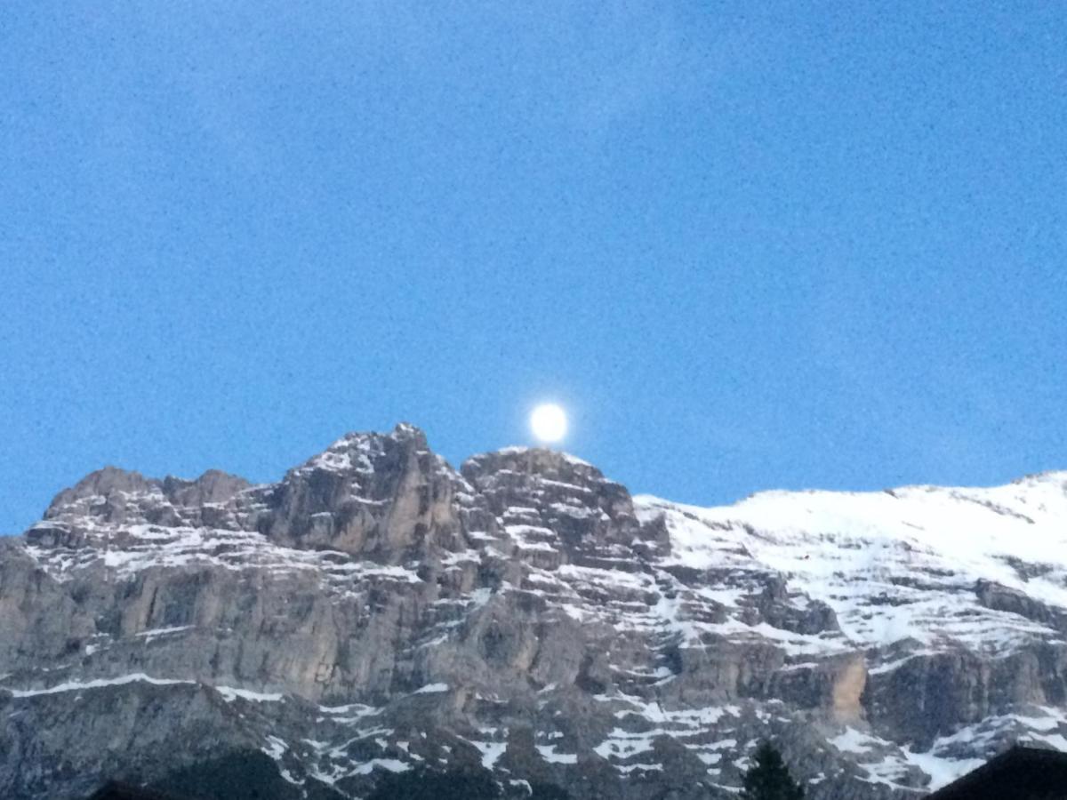 Luxury, New - Amazing Views Grindelwald Eiger Jungfrau Moench Apartment Екстериор снимка