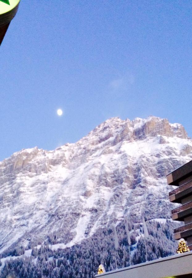 Luxury, New - Amazing Views Grindelwald Eiger Jungfrau Moench Apartment Екстериор снимка