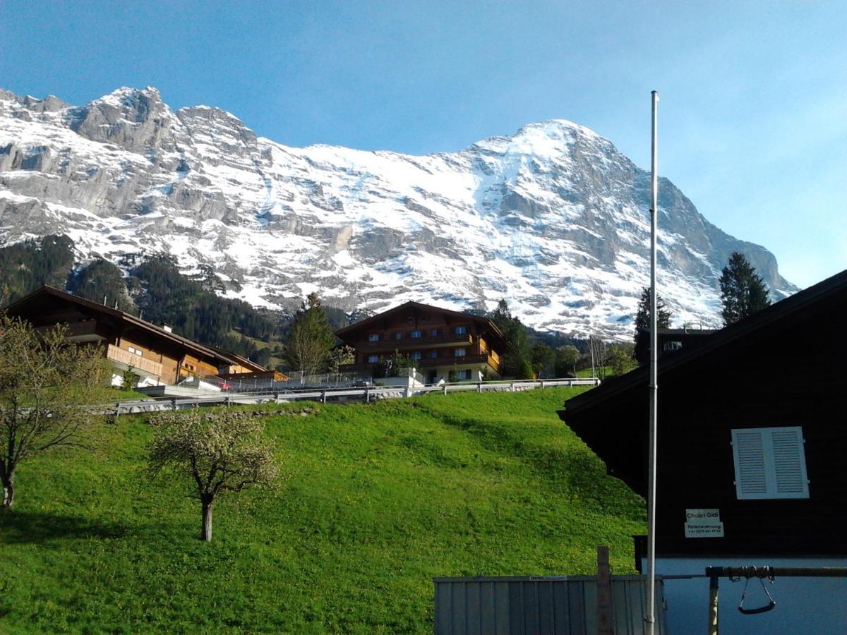 Luxury, New - Amazing Views Grindelwald Eiger Jungfrau Moench Apartment Екстериор снимка