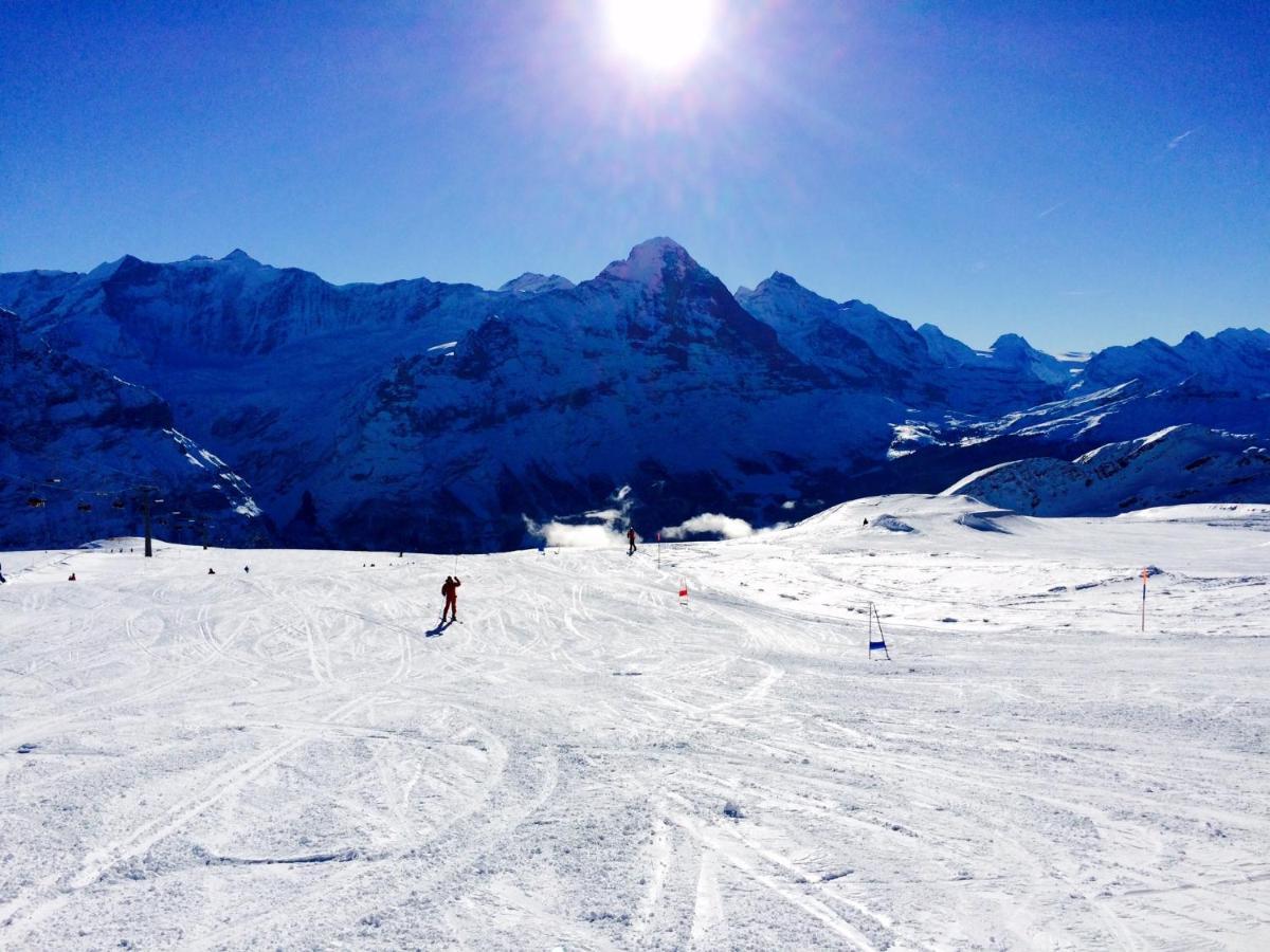 Luxury, New - Amazing Views Grindelwald Eiger Jungfrau Moench Apartment Екстериор снимка