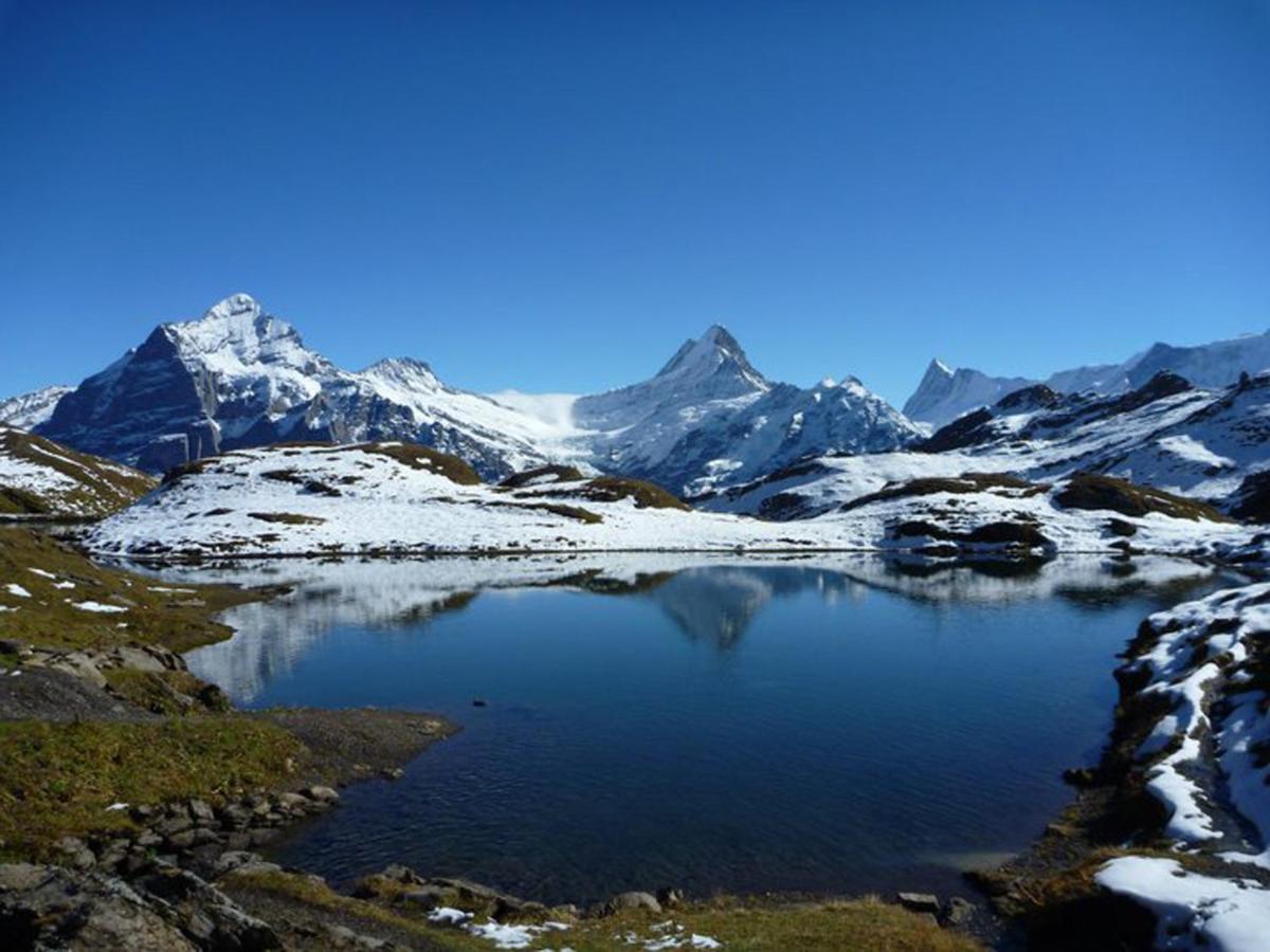 Luxury, New - Amazing Views Grindelwald Eiger Jungfrau Moench Apartment Екстериор снимка