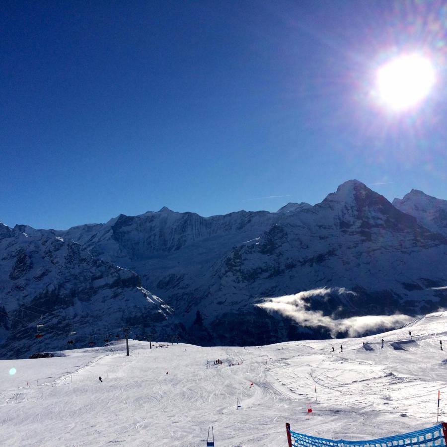 Luxury, New - Amazing Views Grindelwald Eiger Jungfrau Moench Apartment Екстериор снимка