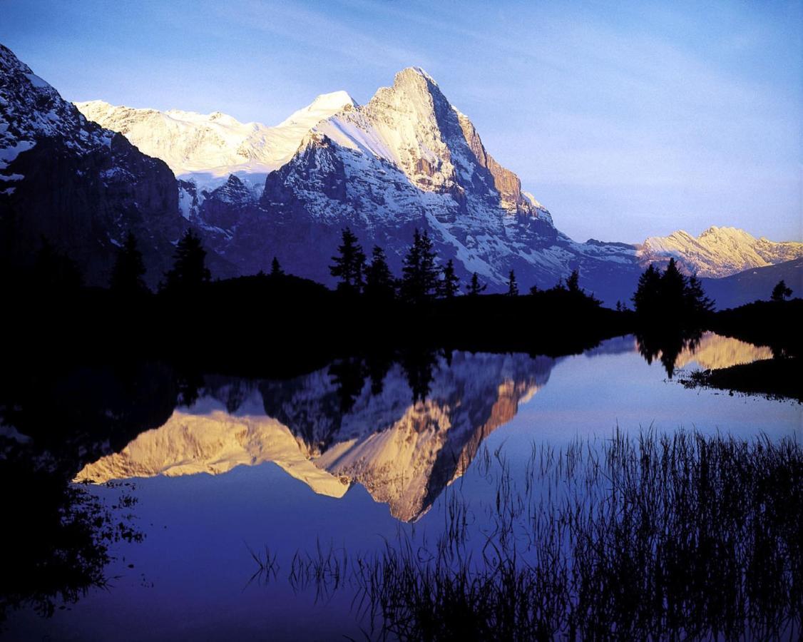 Luxury, New - Amazing Views Grindelwald Eiger Jungfrau Moench Apartment Екстериор снимка