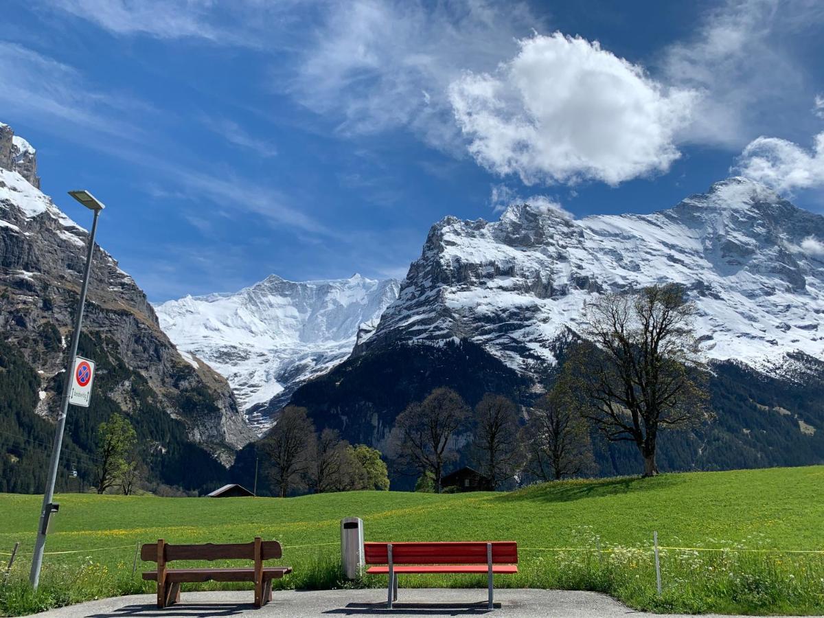 Luxury, New - Amazing Views Grindelwald Eiger Jungfrau Moench Apartment Екстериор снимка